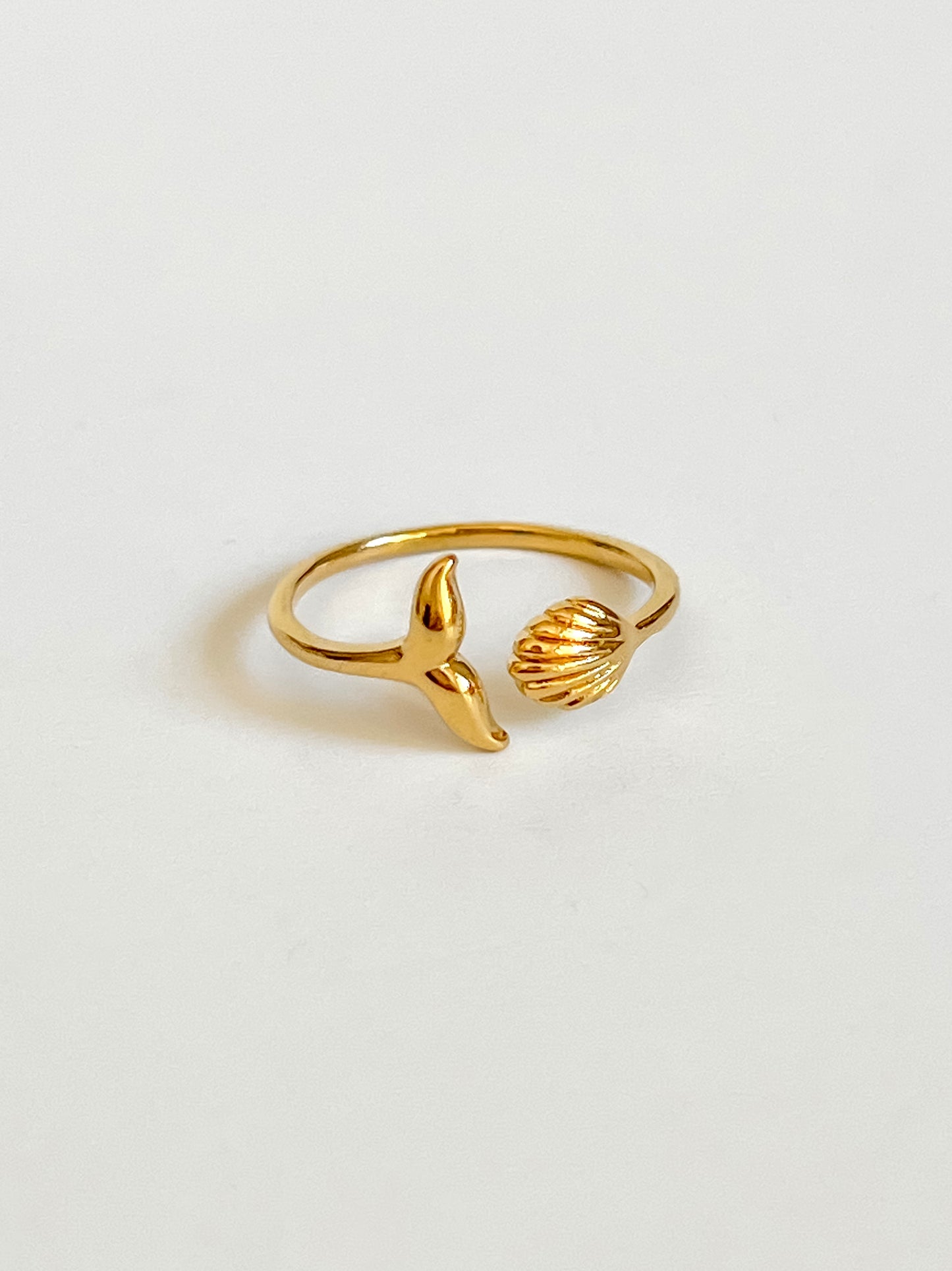 My shell ring