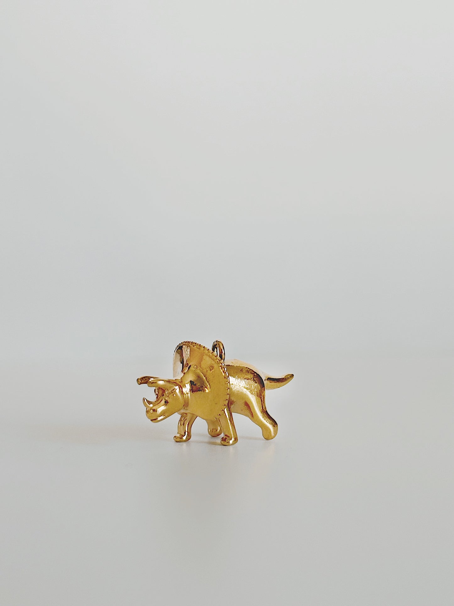Dinosaurs Charm