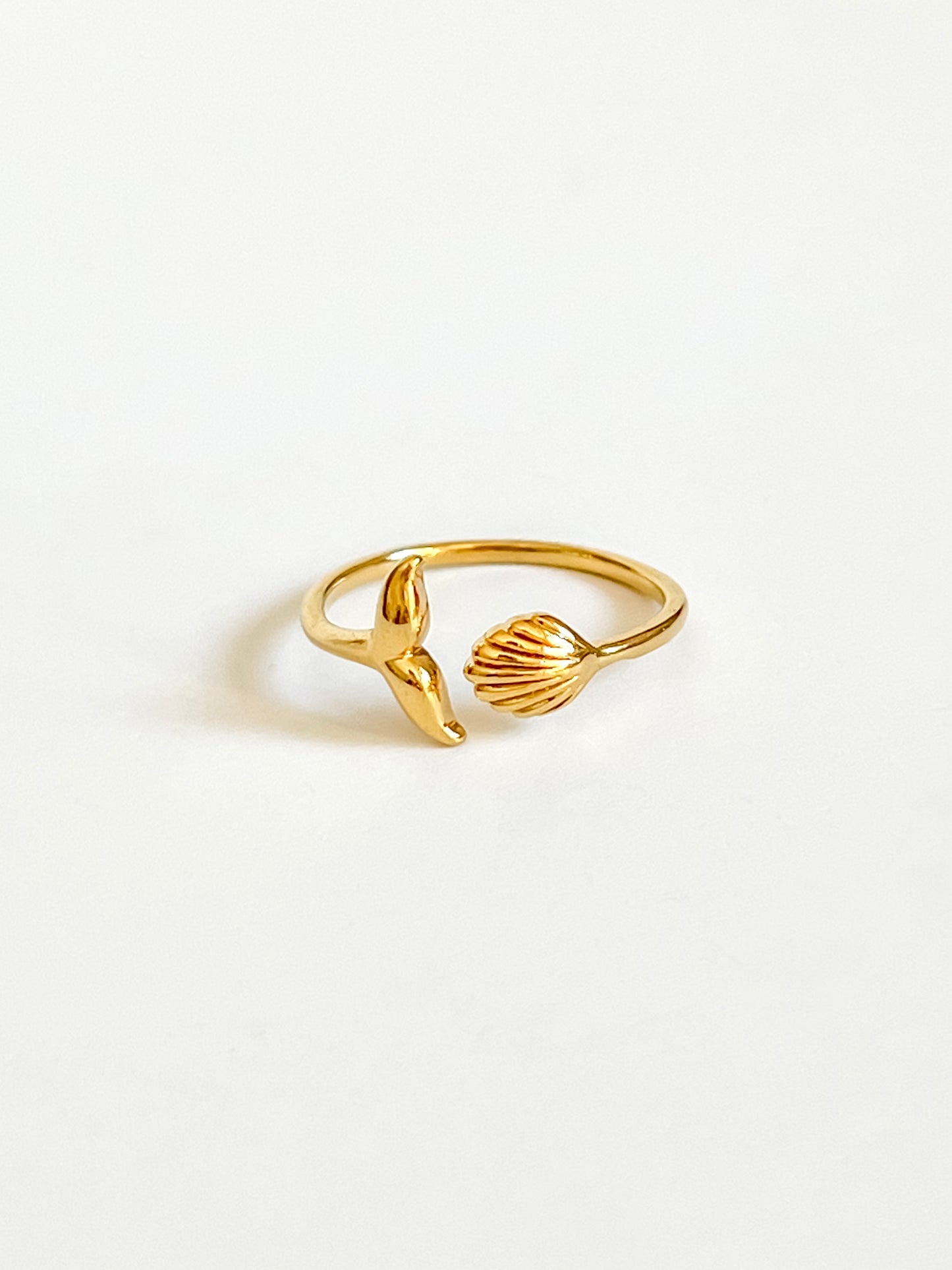 My shell ring