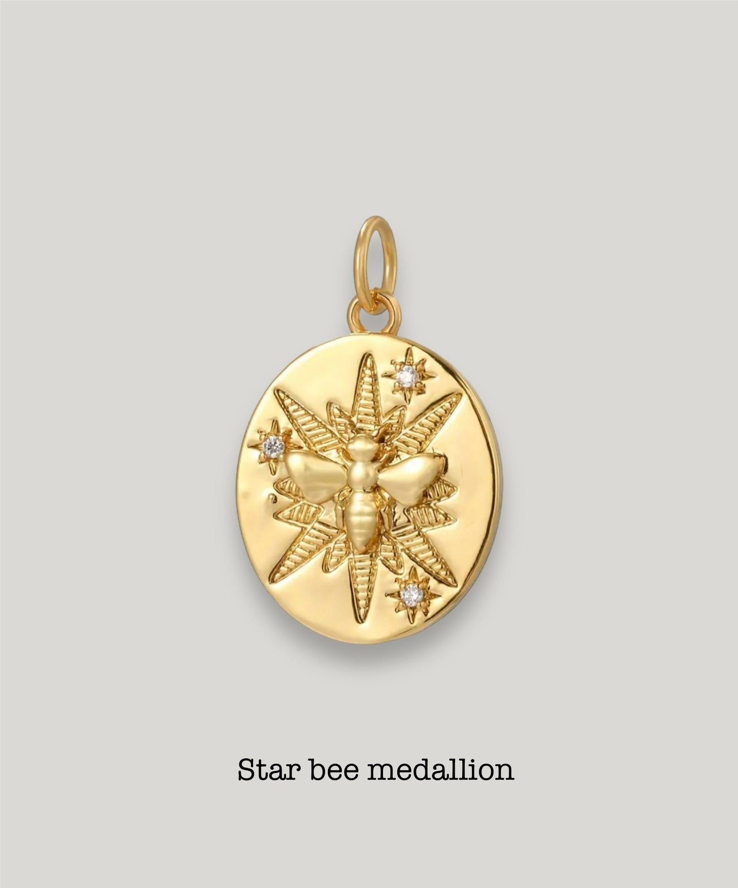 Bee and spider Medallion