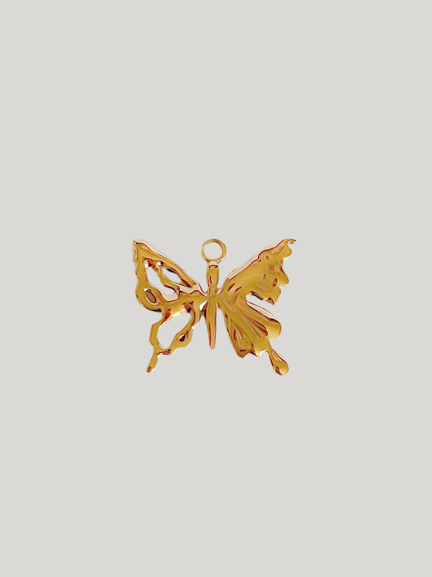 Irregular butterfly Charm