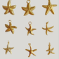 Sea life charms: sea star