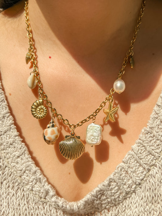 Shell treasure charms