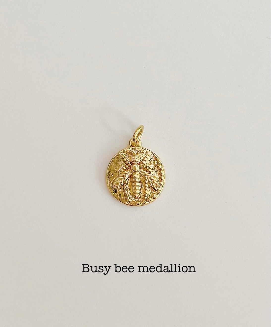 Bee and spider Medallion