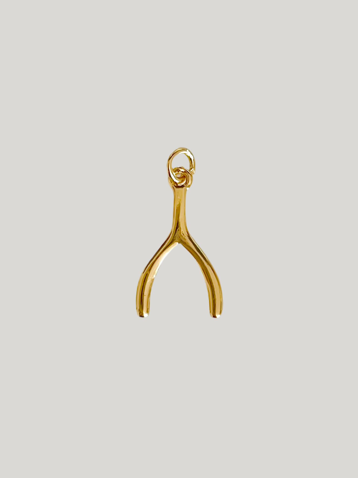 Wishbone charm