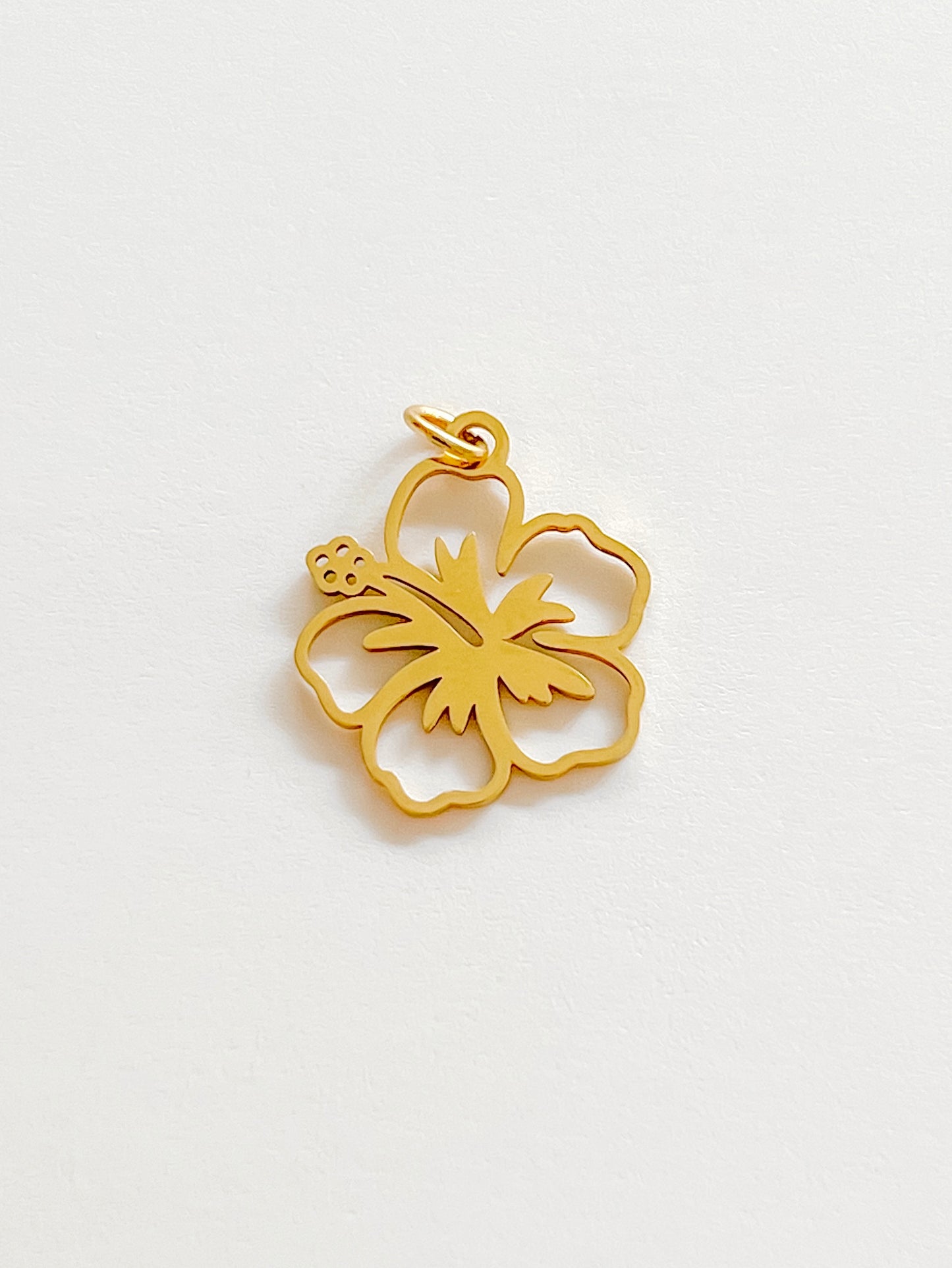 Hibiscus charm