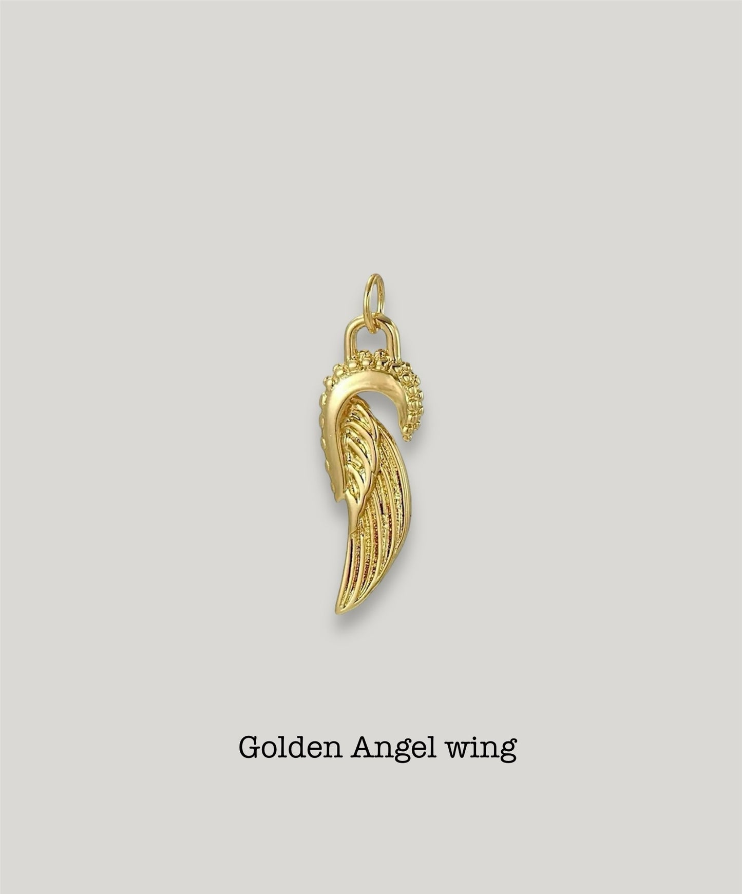 Angel Wing Charm